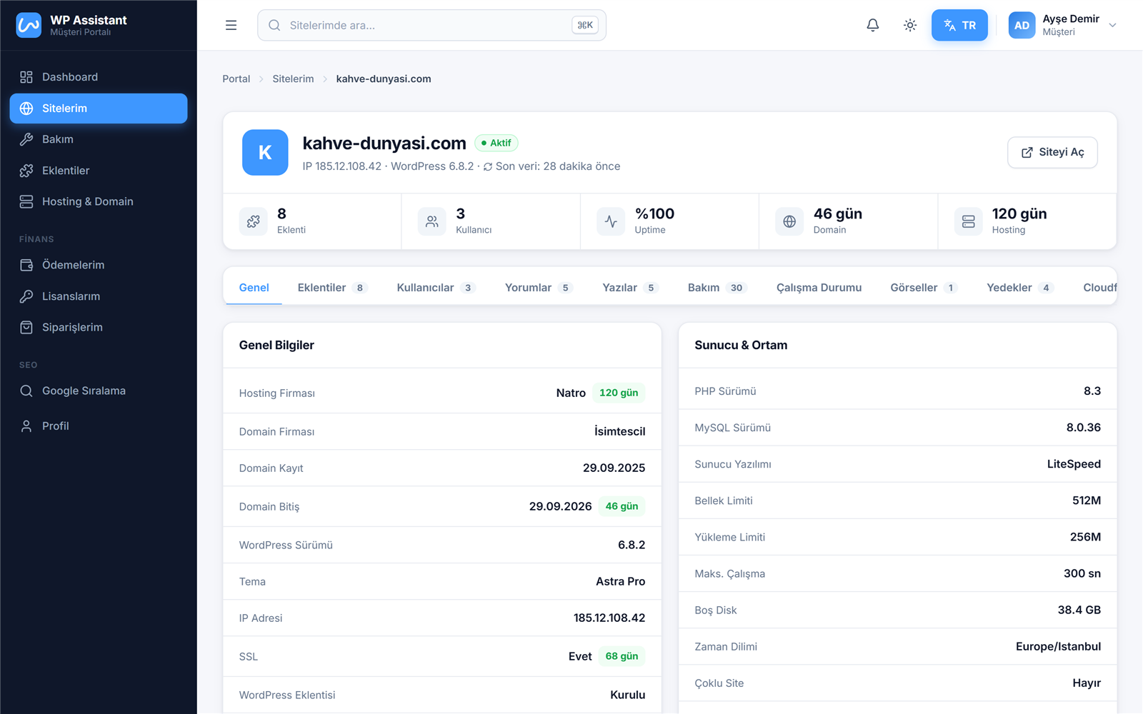 WP Assistant müşteri portalı — demo ekran görüntüsü — Site Detayı