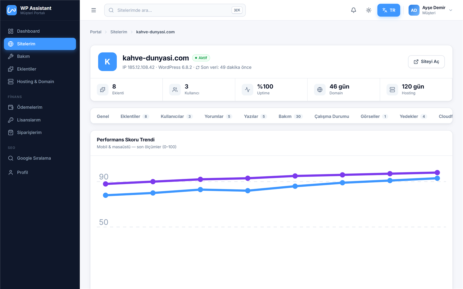 WP Assistant müşteri portalı — demo ekran görüntüsü — PageSpeed